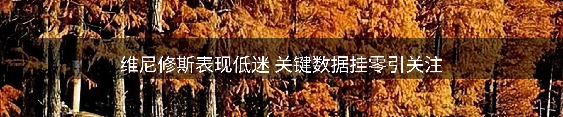 平台精选